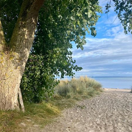 Feriendorf Suedstrand Haus 36 Пельцерхакен Экстерьер фото
